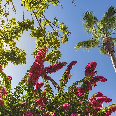 Elba Lanzarote Royal Village Ξενοδοχείο